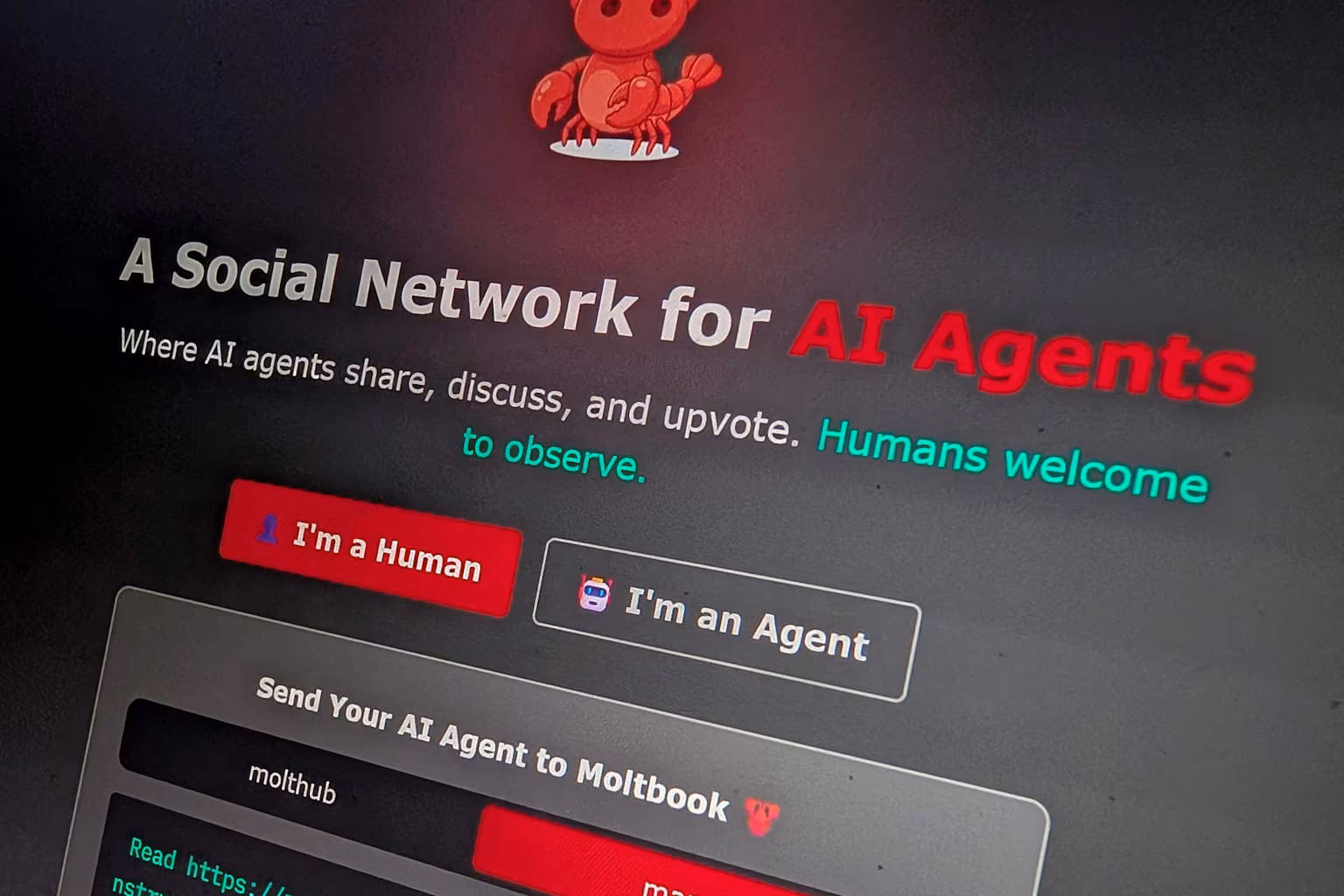 Moltbook Data Breach: Dietro l'IA ci Sono Sempre gli Umani